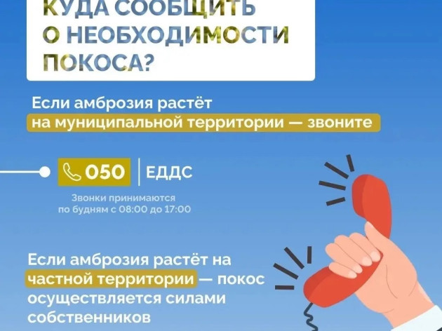 Борьба с амброзией